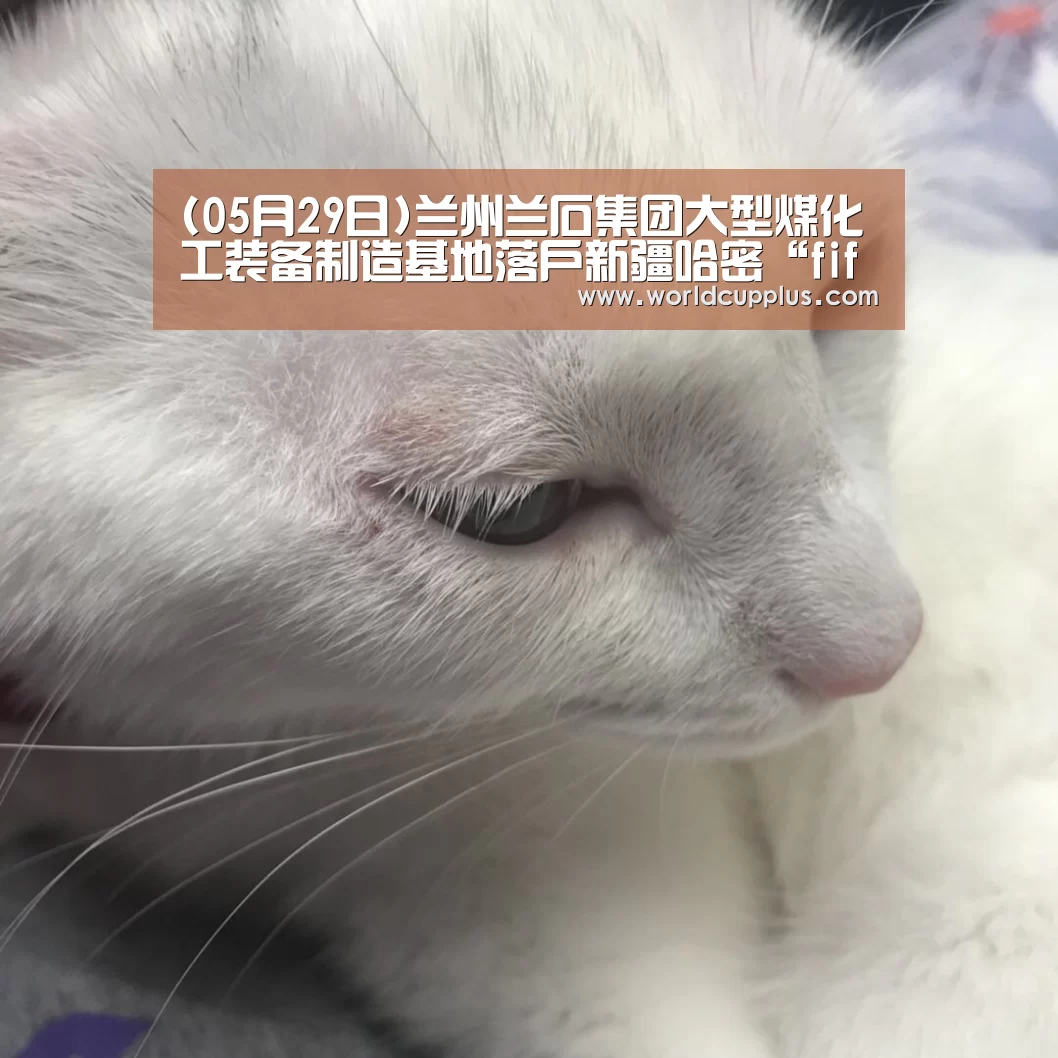 (05月29日)兰州兰石集团大型煤化工装备制造基地落户新疆哈密“fifa world cup 2026”(图1) 2026 fifa world cup