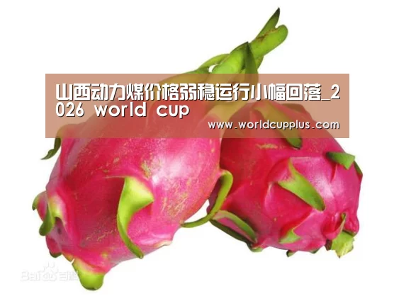 山西动力煤价格弱稳运行小幅回落_2026 world cup(图3) 2026 world cup