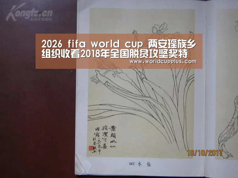 fifa world cup