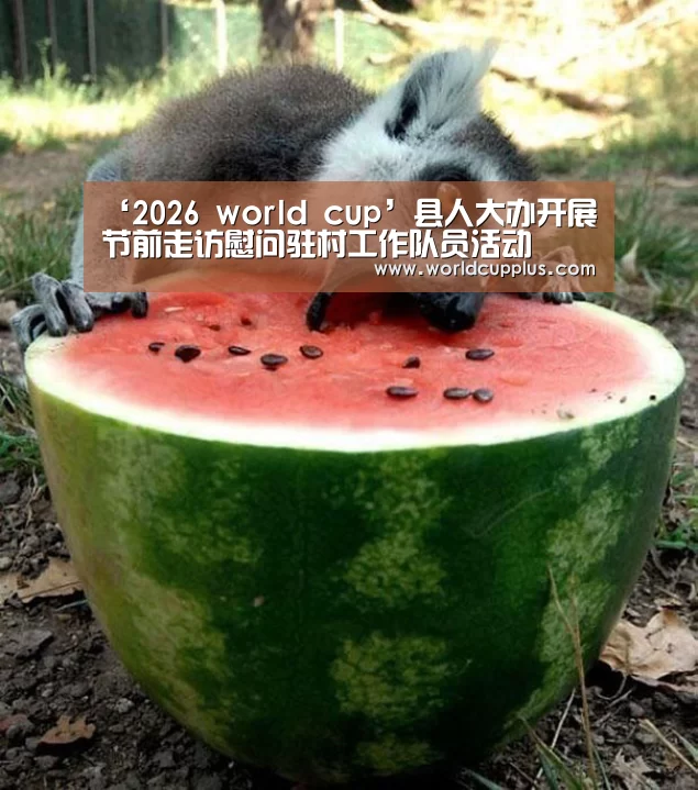 fifa world cup