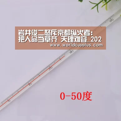 岩井俊二怒斥京都纵火者:把人命当草芥 天理难容_2026 fifa world cup(图2) 2026 world cup